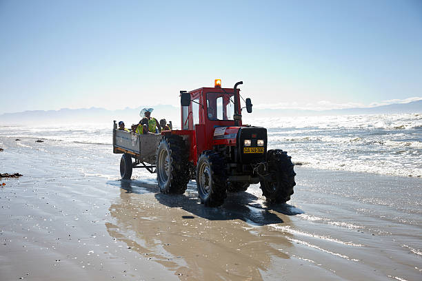 We all want to enjoy a beach clean of debris from plants, fish and objects. A tractor will take care of this job to enjoy nature during the vacations. Image made in Alcossebre (Castellón)