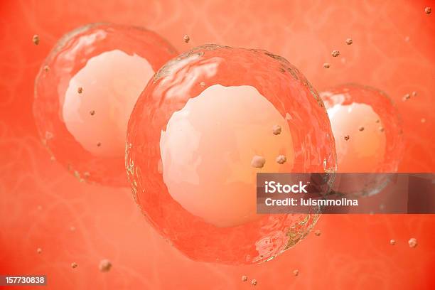 통해 세포를 현미경으로 인간의 세포에 대한 스톡 사진 및 기타 이미지 - 인간의 세포, 건강관리와 의술, 과학