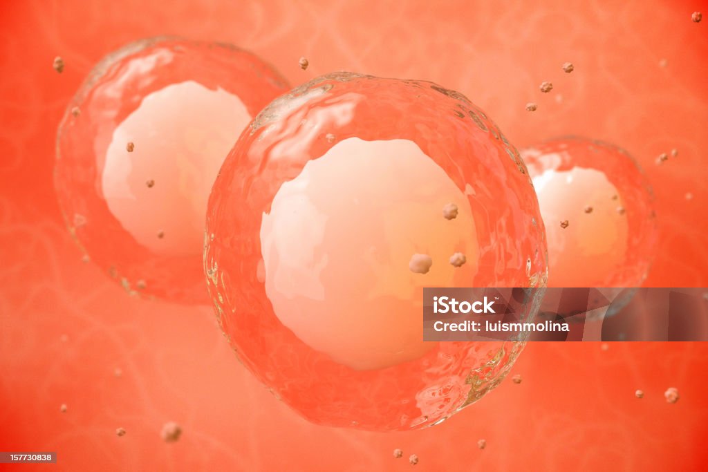 Through the Microscope, Cells Cell under microscope. Human Cell Stock Photo