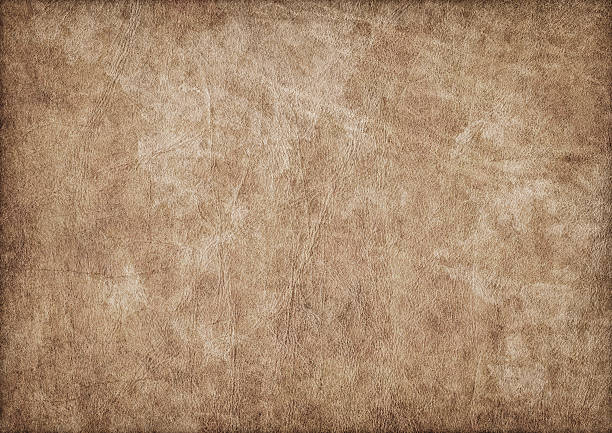 высокое разрешение натуральную кожу состаренная пергамент виньетка гранж текстуру - surface level full frame large obsolete стоковые фото и изображения