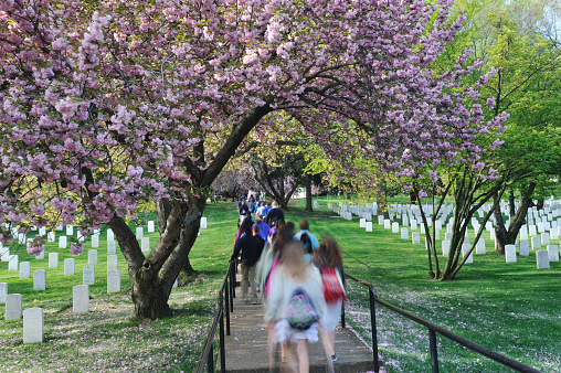 Arlington National Cemetery in Washington DC, USA on June 29, 2023