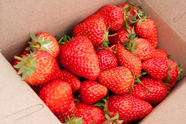 Strawberry in cardboard box