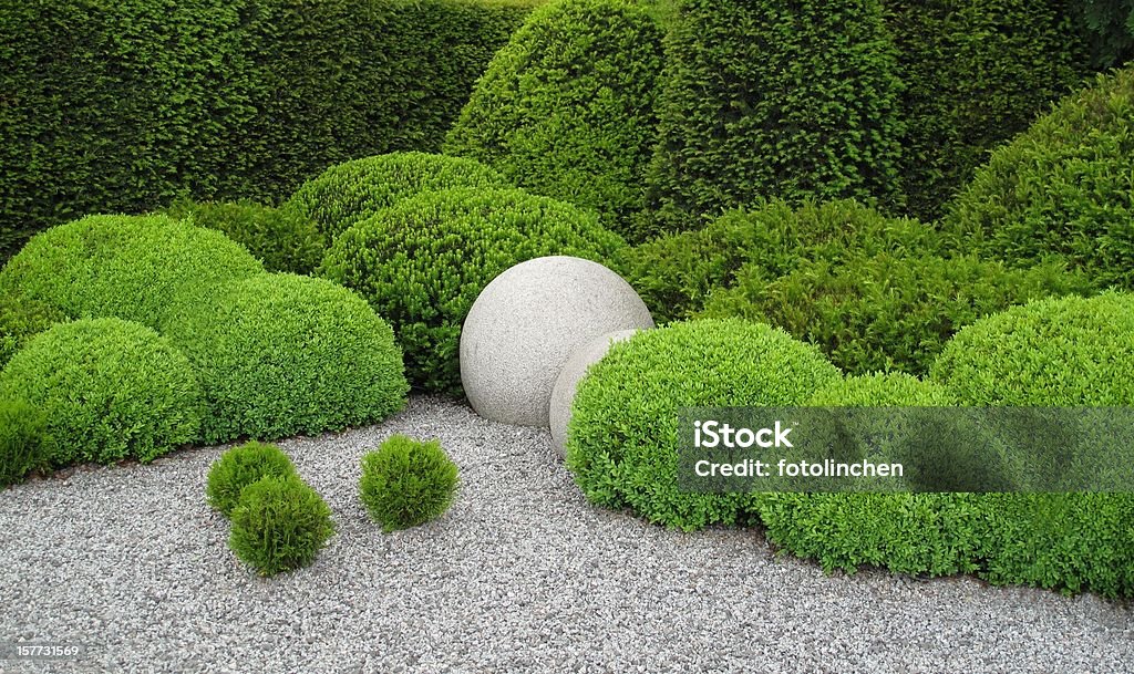 Gardendesign mit buxus und yew - Lizenzfrei Hausgarten Stock-Foto