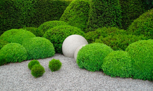 Gardendesign with buxus balls, yew  and stone balls