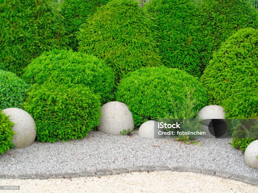 Gardendesign mit buxus und yew - Lizenzfrei Eibe Stock-Foto