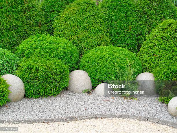 Gardendesign Mit Buxus Und Yew Stockfoto und mehr Bilder von Eibe - Eibe, Gartenanlage, Hausgarten