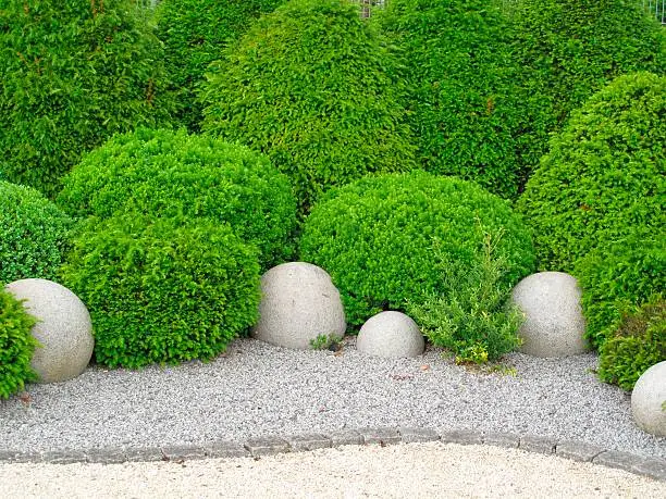Gardendesign with buxus balls, yew  and stone balls