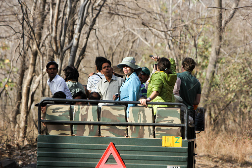 Over the shoulder view of a photographer taking pictures of a giraffe from the back of a safari vehicle during a game drive