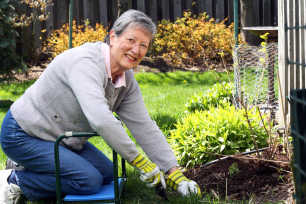 istock Senior Woman Gardening 157731893