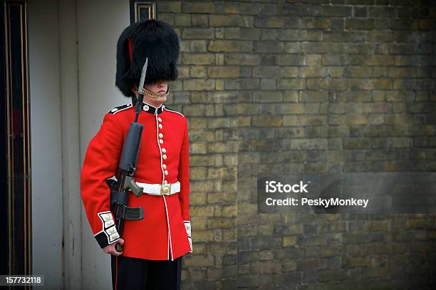 Photo libre de droit de Garde Royale Anglaise Pied Veste Rouge Busby De Londres banque d'images et plus d'images libres de droit de Garde d'honneur