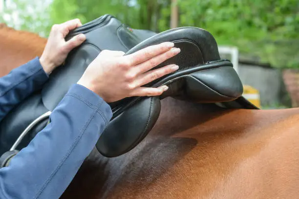 Photo of setting the saddle - Pferd satteln