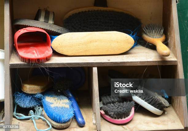 Horse Equipment Stock Photo - Download Image Now - Horse, Cleaning, Hoof