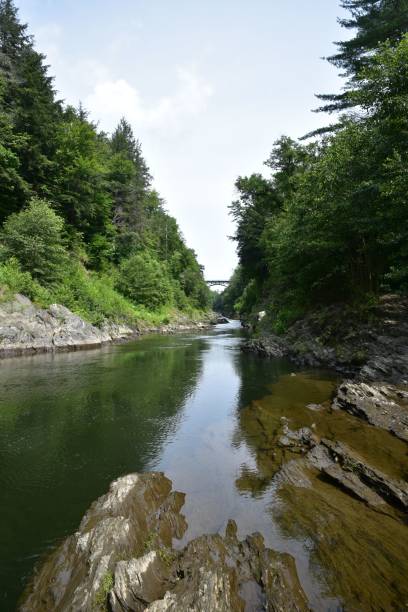 istock a scenic view of a river surrounded by trees and bushes 1577324800