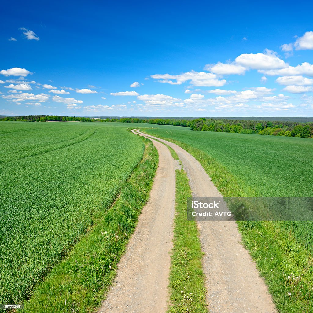 Farm Road a través de campos de paisaje de primavera verde - Foto de stock de Agricultura libre de derechos
