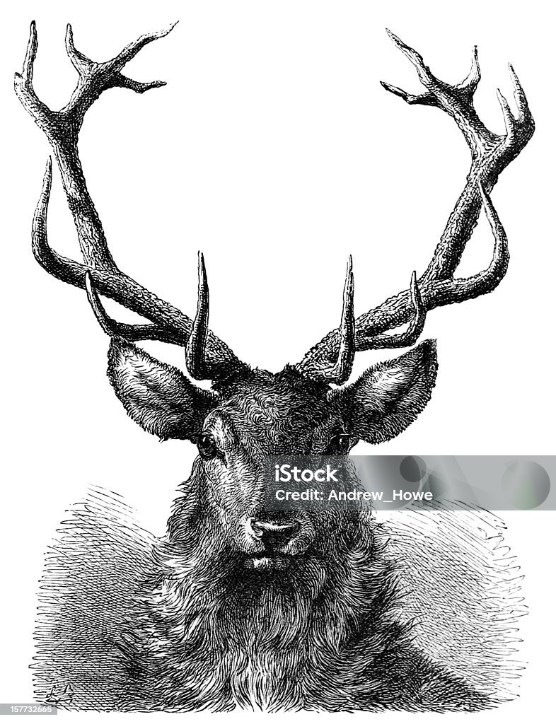 Red Deer despedida de grabado - Ilustración de stock de Ciervo libre de derechos