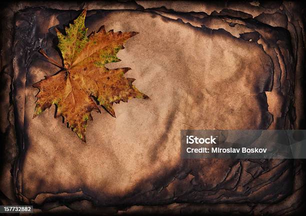 Hires Autumn Dry Maple Leaf On Burnt Paper Sheets Stack Stock Photo - Download Image Now