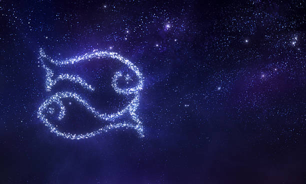 Pisces zodiac sign Pisces zodiac sign on space background pisces photos stock illustrations