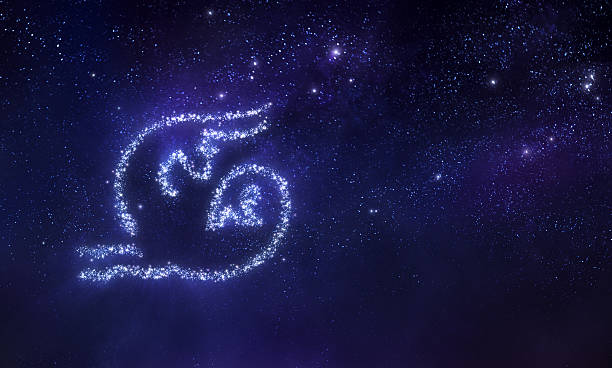 Capricorn zodiac sign Capricorn zodiac sign on space background capricorn photos stock illustrations