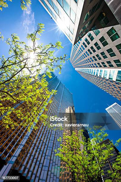 Corporate Buildings Stockfoto und mehr Bilder von Bürogebäude - Bürogebäude, Baum, Fenster