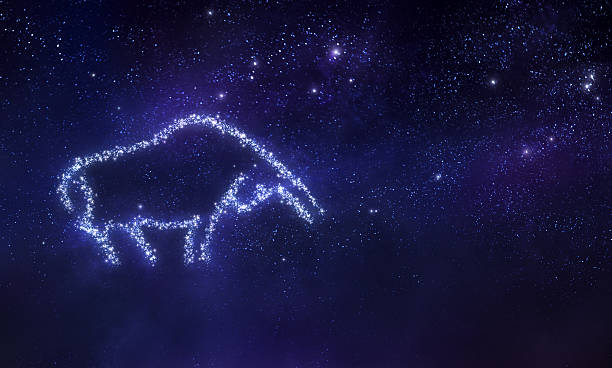 ilustraciones, imágenes clip art, dibujos animados e iconos de stock de taurus signo del zodíaco - toro