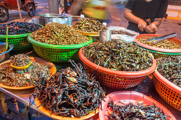 Fried Insects And Bugs For Sale In Phnom Penh, Cambodia Deep Fried Insects For Sale A Street Market Stall In Phnom Penh, Cambodia cockroach food stock pictures, royalty-free photos & images