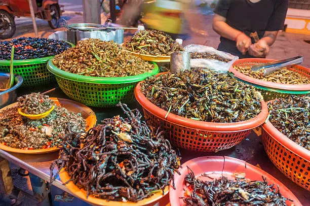 Photo of Fried Insects And Bugs For Sale In Phnom Penh, Cambodia