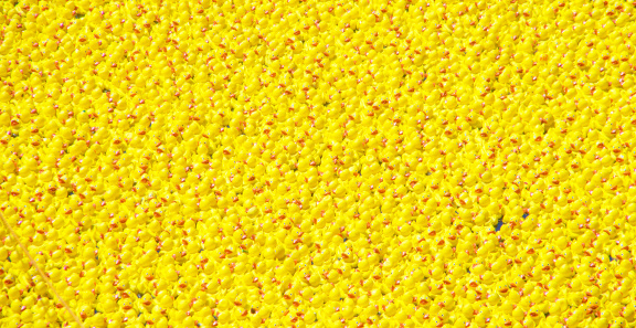 many yellow rubber ducks - Quietscheenten background Hintergrund