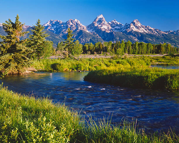 A small stream sits in the meadow at the foot of the Grand Tetons in Grand Tetons National Park in Jackson, Wyoming.