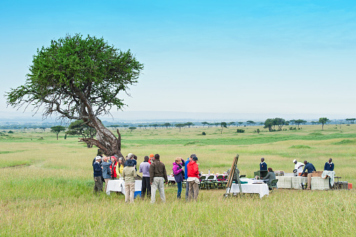 Kenya, Africa - March 10, 2023: Group of tourists enjoy a bush champange breakfast in the Masaai Mara after a hot air balloon ride