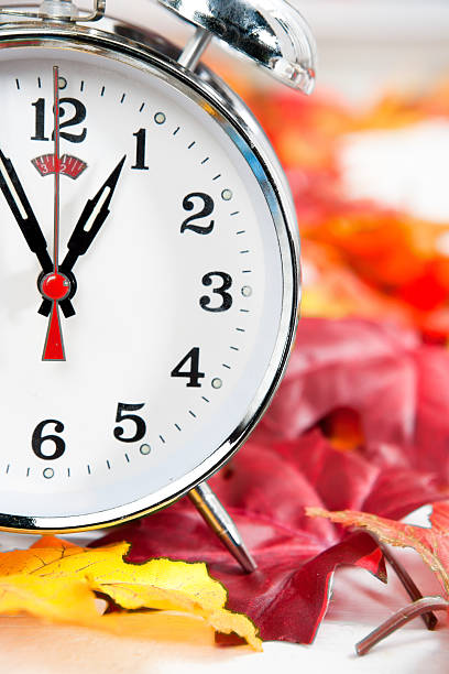 istock Alarm clock on autumn leaves 157736177