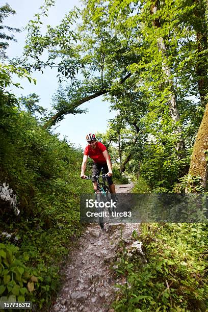 Mountain Bike Rider On Path Stock Photo - Download Image Now - Adult, Bicycle, Blurred Motion