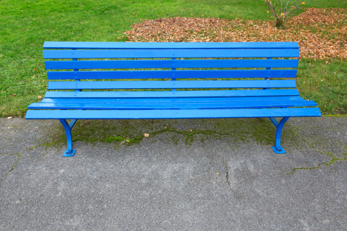 A vibrant blue wooden bench in the park