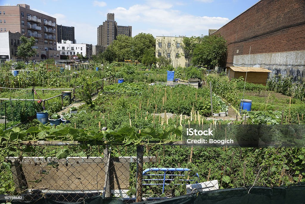 Urban farm plot de Coney Island, dans l'État de New York - Photo de Jardin de ville libre de droits