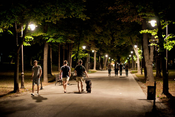 Park at Night, Belgrade stock photo