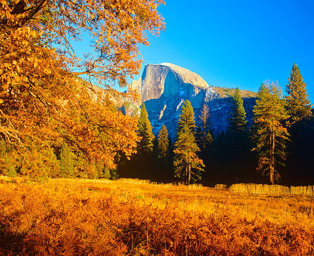 Half-dome at Yosemite National Park. Picture taken from high altitude viewpoint. Yosemite valley overview.