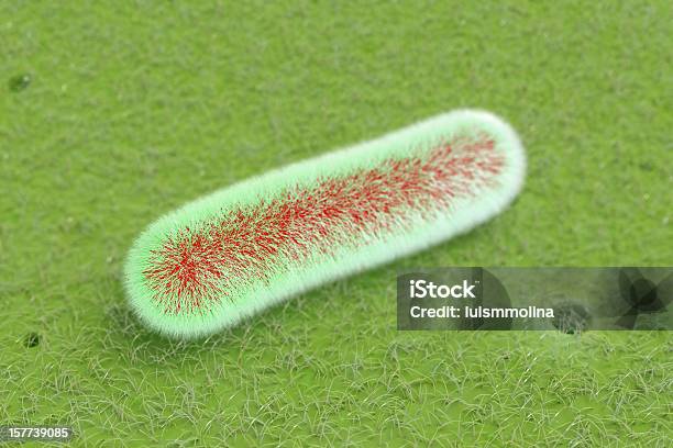 Escherichia Coli Stockfoto und mehr Bilder von Bacillus subtilis - Bacillus subtilis, Bakterie, Biologie