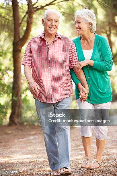 Par Sênior Caminhar Na Natureza Juntos - Fotografias de stock e mais imagens de Andar - Andar, Casal, Exercitar