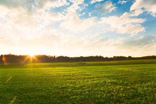 Sunset over green meadow