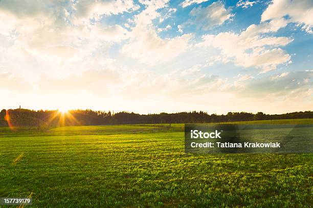 Sunset Over Green Meadow Stock Photo - Download Image Now - Agricultural Field, Sunset, Grass