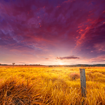 Beautiful rural grassy Australian landscape at sunset.