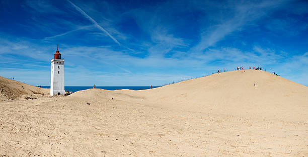 Cottonwood trees at Lake Michigan Overlook in Sleeping Bear Dunes National Lakeshore in Michigan, USA during autumn.