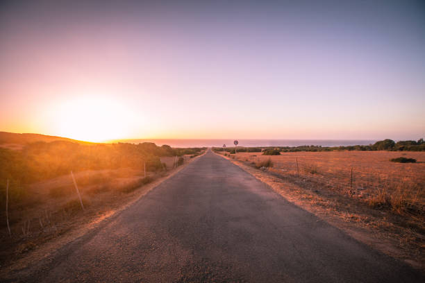 Big freight truck on the open highway in front of an amazing sunset