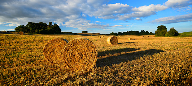 Straw Bales in Stubble Field under Moody Sky at Sunset