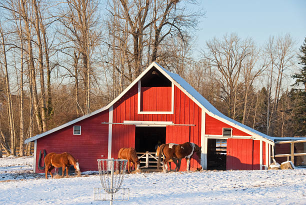 istock Red Barn in the Snow at Dusk 157740207