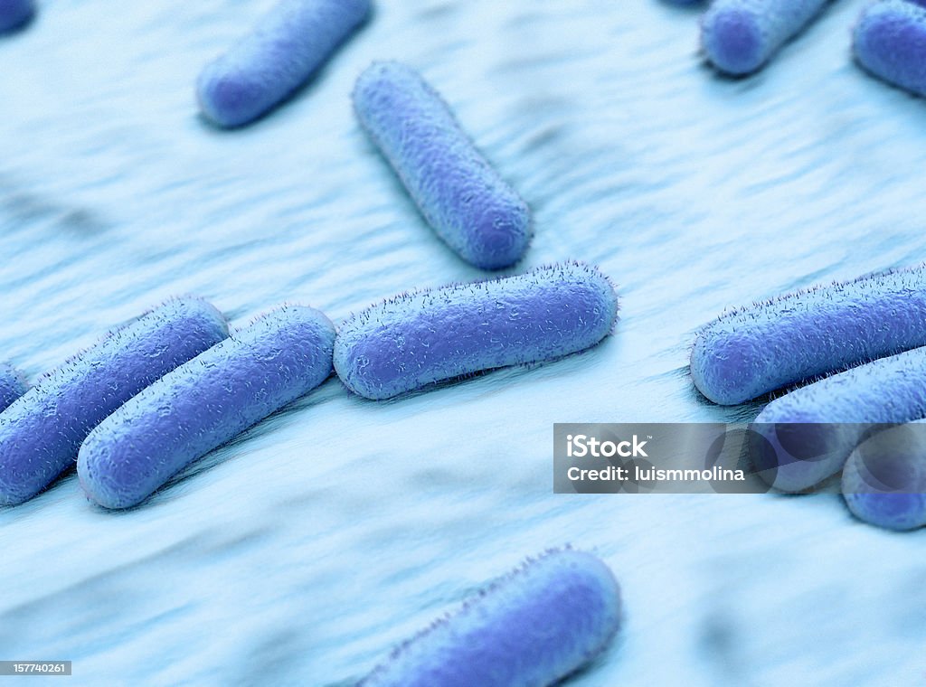 Escherichia Coli (E.  Coli.) - Royalty-free E. coli Foto de stock