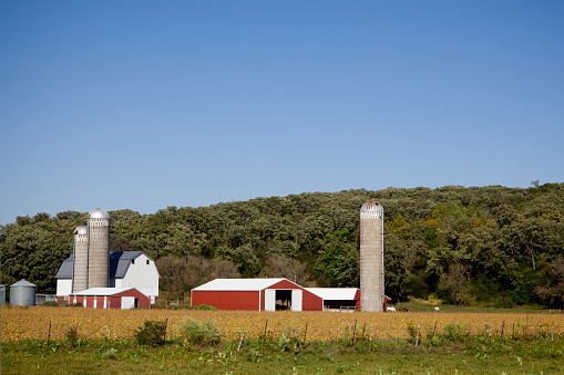 An old wooden barn with sheets of metal bent on the roof.