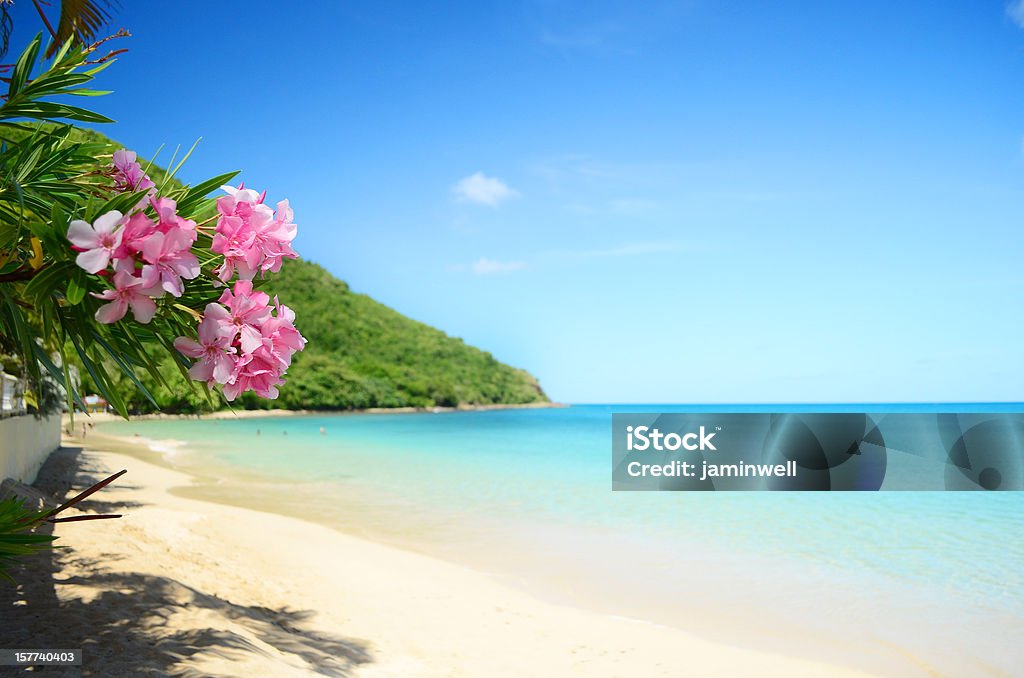 Perfeito praia - Foto de stock de Praia royalty-free