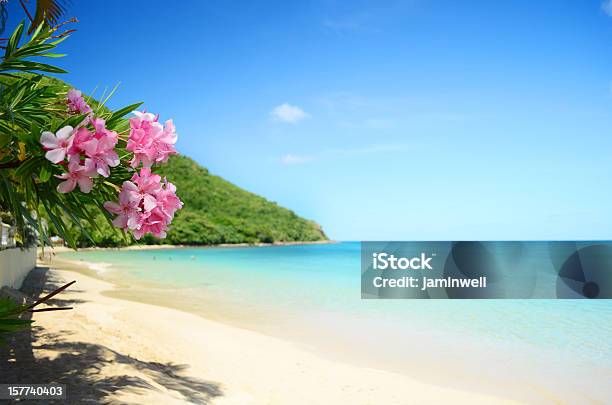 Foto de Perfeito Praia e mais fotos de stock de Praia - Praia, Ilhas do Havaí, Flor