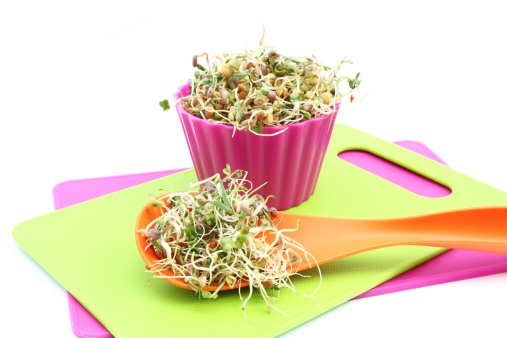 An orange kitchen ladle holds a heap of fresh sprouts, while a small pink bowl holds more in the background.  The sprouts are a mix of lentils, mung beans and alfalfa. Bowl and spoon are on colorful green and pink cutting boards. Studio shot on a white background.