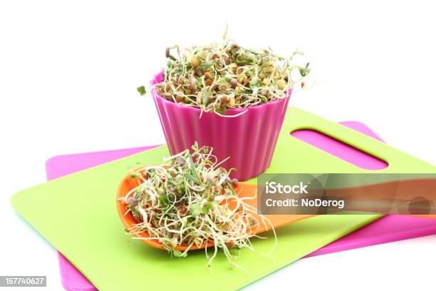 Rebentos Em Recipientes Colorido - Fotografias de stock e mais imagens de Alimentação Saudável - Alimentação Saudável, Amontoar, Botão - Estágio de flora